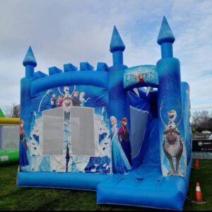 Frozen Castle with Slide